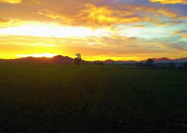 sunset-over-rice-paddies-Mindoro.jpg