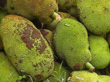 jackfruit.jpg