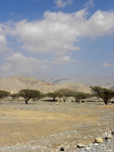 Ras-Al-Khaima-mountains.jpg