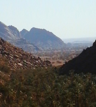 Shammar-mountains-wild-palm-trees.jpg