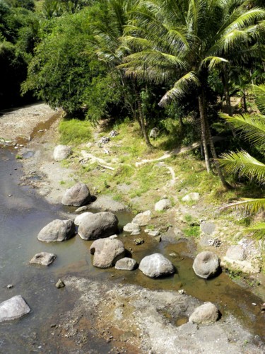 Bali, Ubud-river.jpg