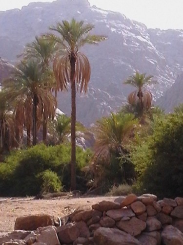 Wadi-near-Bugah.jpg