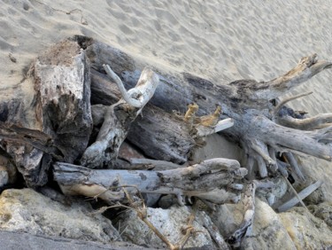 Driftwood.jpg