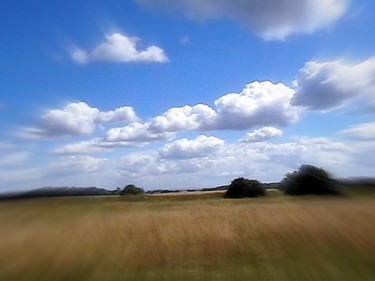 Minchinhampton-common, UK 2.jpg