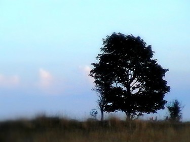 Minchinhampton-soft-focus.jpg